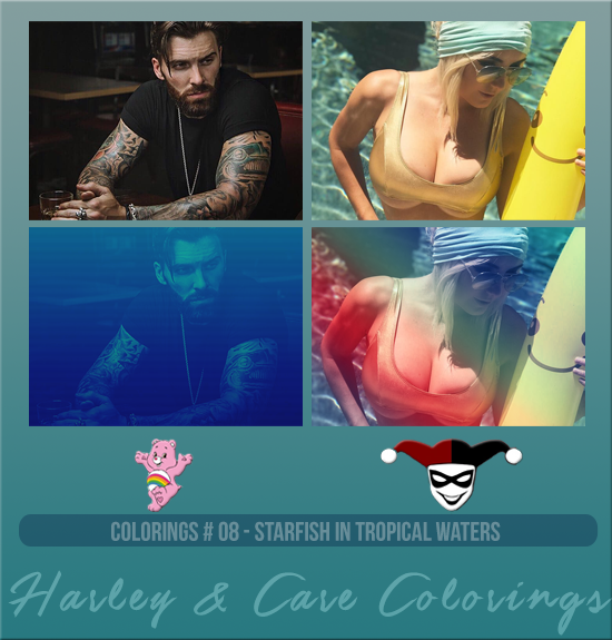 HARLEY & CARE #008 [STARFISH IN TROPICAL WATERS]
