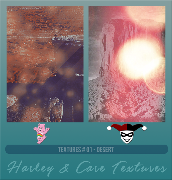 HARLEY & CARE #001 [DESERT]
