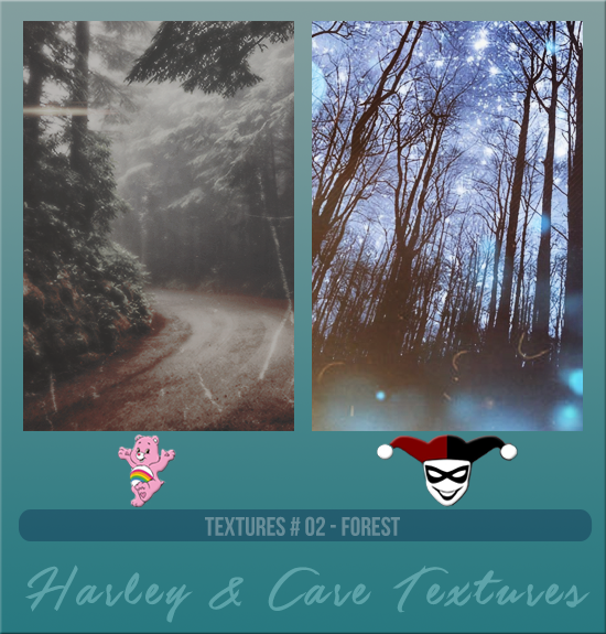 HARLEY & CARE #002 [FOREST]
