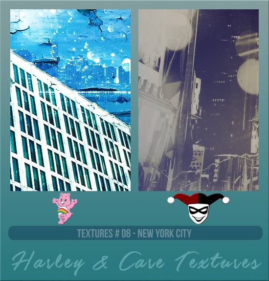 HARLEY & CARE #008 [NEW YORK CITY]
