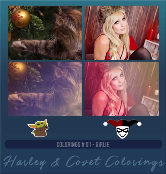 HARLEY & COVET #001 [GIRLIE]
