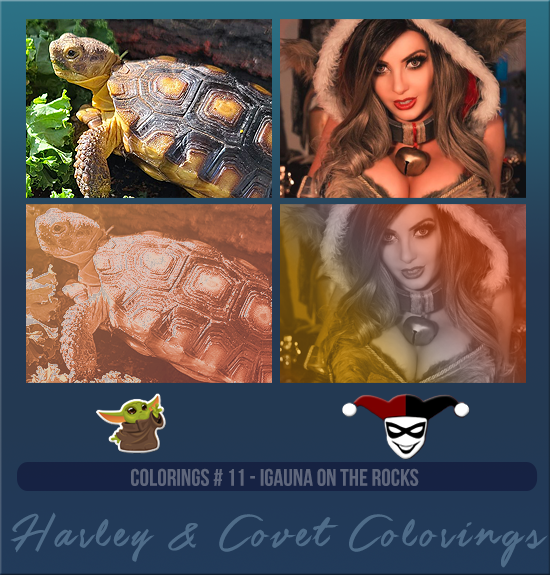 HARLEY & COVET #011 [IGAUNA ON THE ROCKS]
