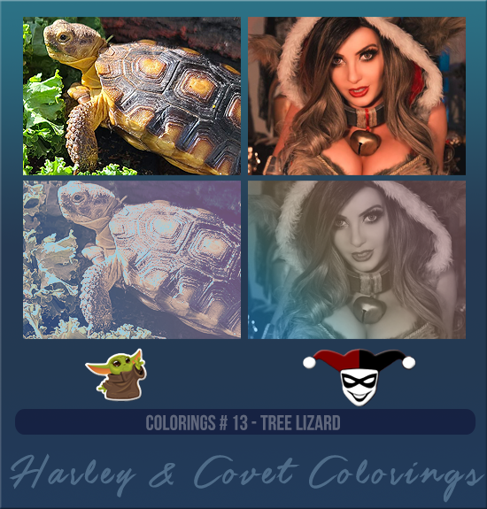 HARLEY & COVET #014 [SUNSET BEACH]
