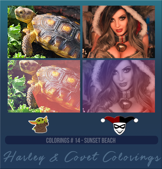 HARLEY & COVET #013 [TREE LIZARDS]
