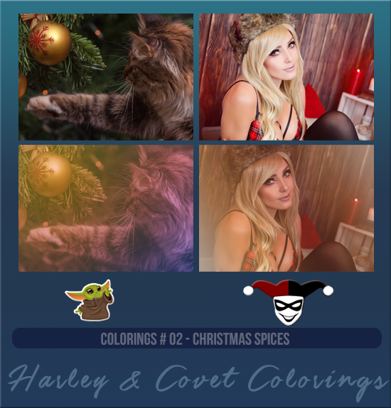 HARLEY & COVET #002 [CHRISTMAS SPICES]
