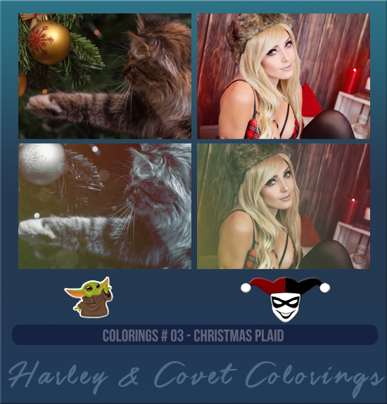 HARLEY & COVET #003 [CHRISTMAS PLAID]
