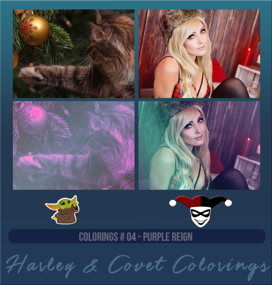 HARLEY & COVET #004 [PURPLE REIGN]
