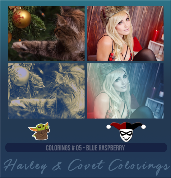 HARLEY & COVET #005 [BLUE RASPBERRY]
