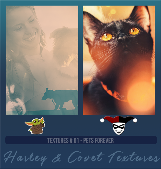 HARLEY & COVET #001 [PETS FOREVER]
