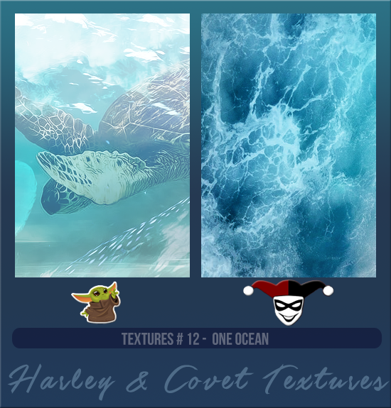 HARLEY & COVET #012 [ONE OCEAN]
