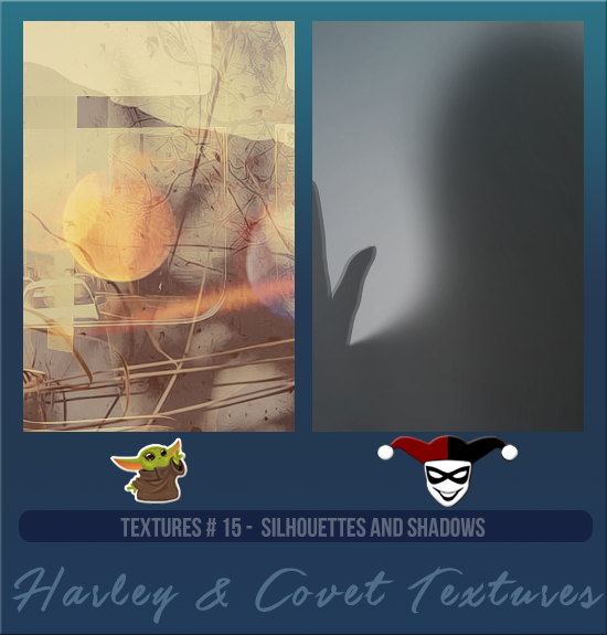 HARLEY & COVET #015 [SILHOUETTES AND SHADOWS]
