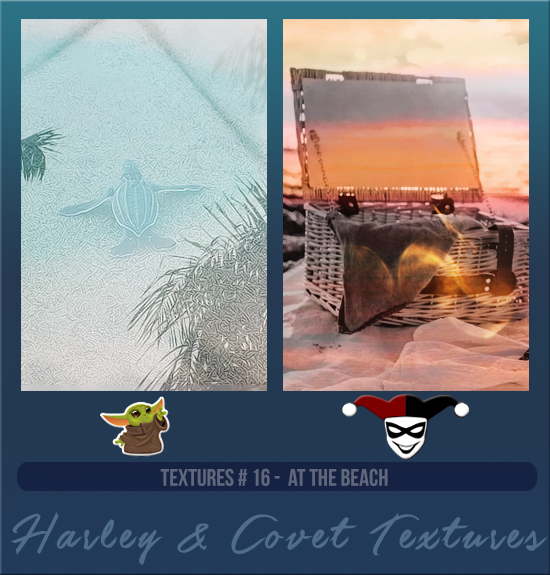 HARLEY & COVET #016 [AT THE BEACH]
