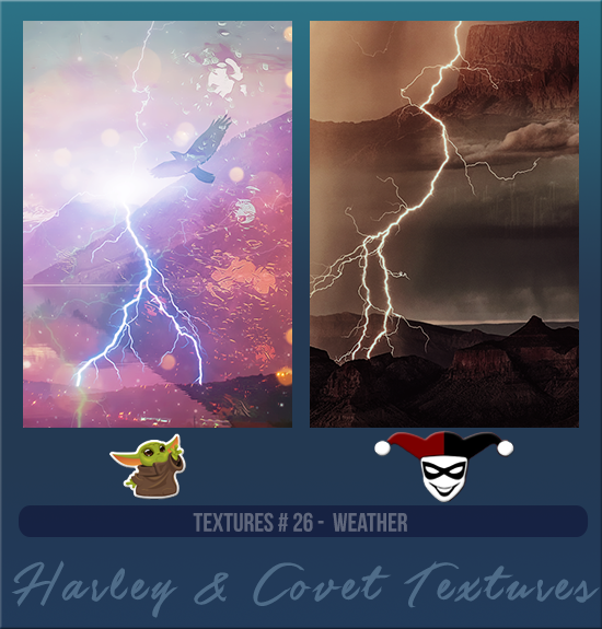 HARLEY & COVET #026 [WEATHER]
Available August 2024 (Summer Beach Party 2023)
