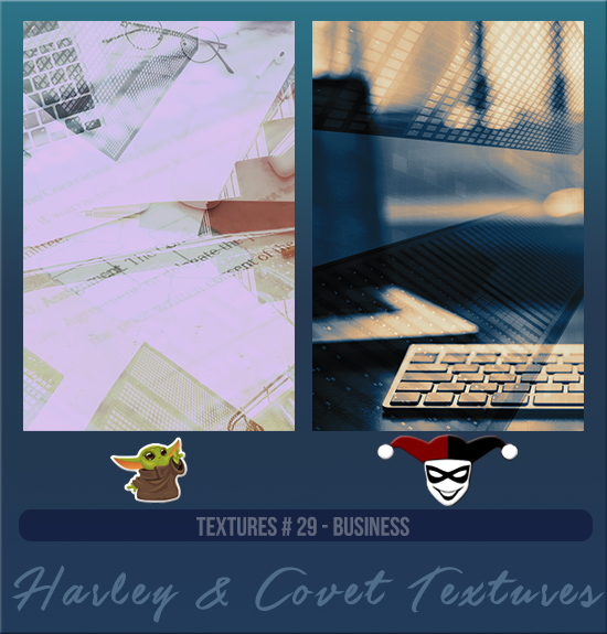 HARLEY & COVET #029 [BUSINESS]
Available August 2024 (Summer Beach Party 2023)
