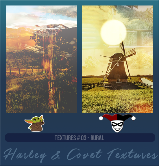 HARLEY & COVET #003 [RURAL]
