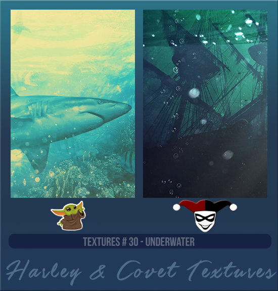 HARLEY & COVET #030 [UNDERWATER]
Available August 2024 (Summer Beach Party 2023)
