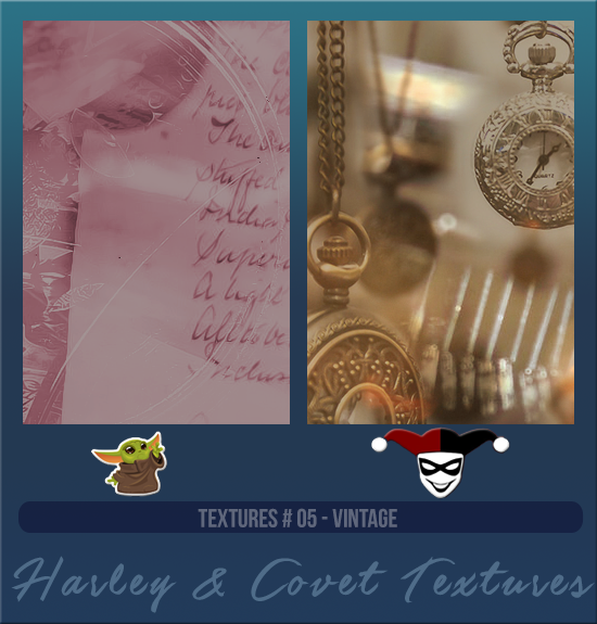 HARLEY & COVET #005 [VINTAGE]
