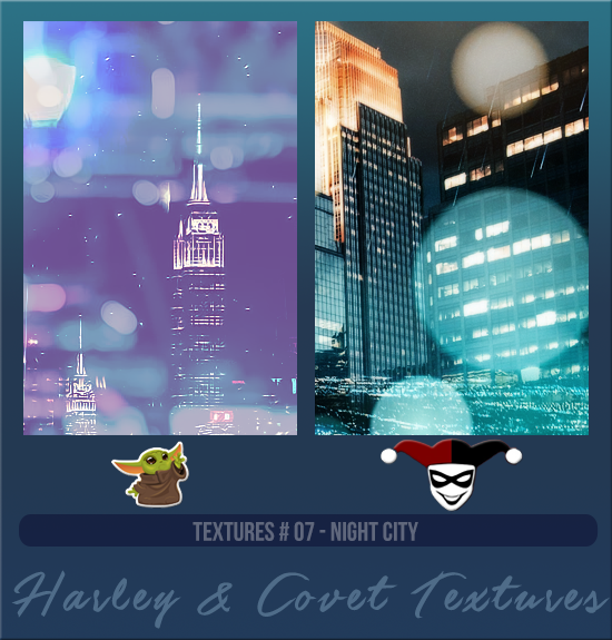 HARLEY & COVET #007 [NIGHT CITY]
