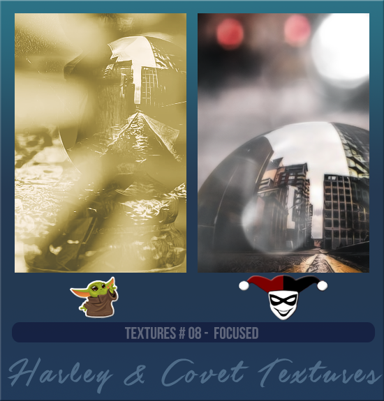 HARLEY & COVET #008 [FOCUSED]
