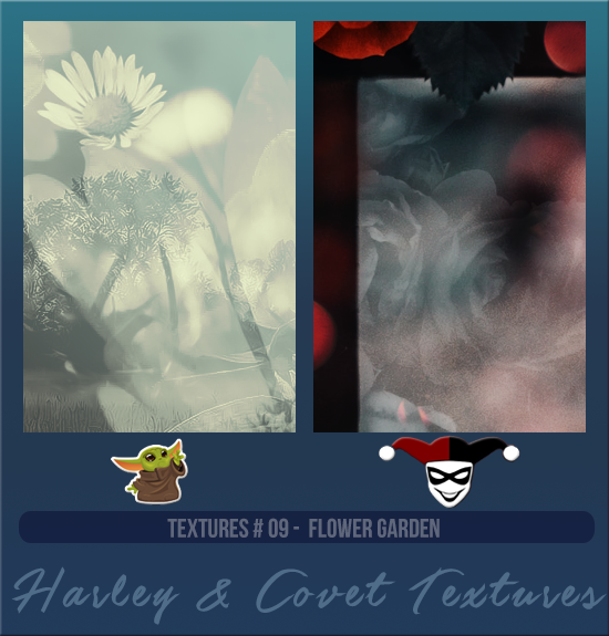 HARLEY & COVET #009 [FLOWER GARDEN]
