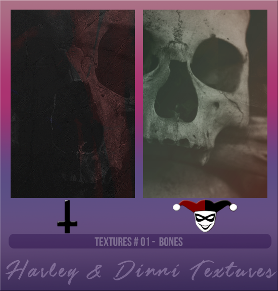 HARLEY & DINNI #001 [BONES]
