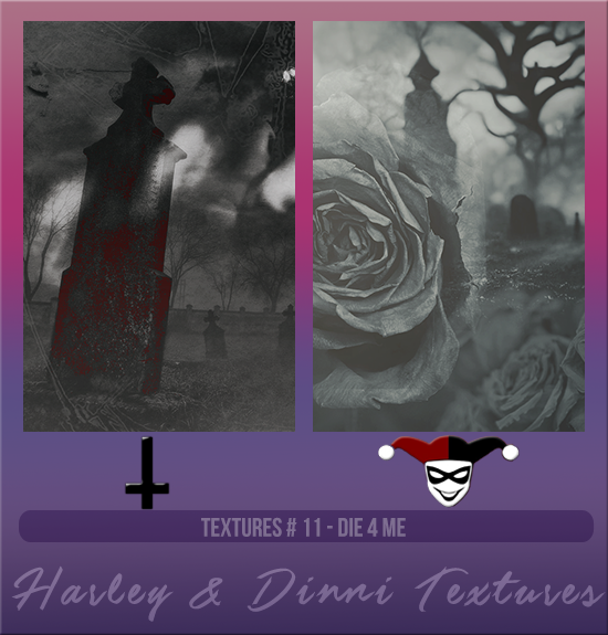 HARLEY & DINNI #011 [DIE 4 ME]
Available August 2024 (Summer Beach Party 2023)
