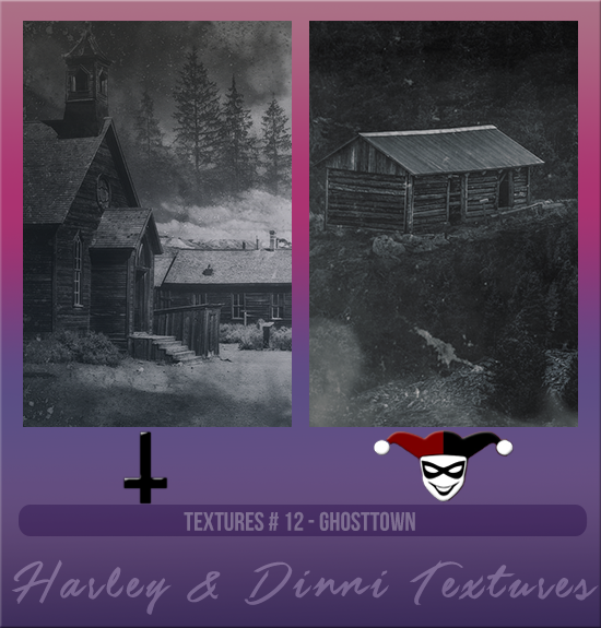 HARLEY & DINNI #012 [GHOST TOWN]
Available August 2024 (Summer Beach Party 2023)
