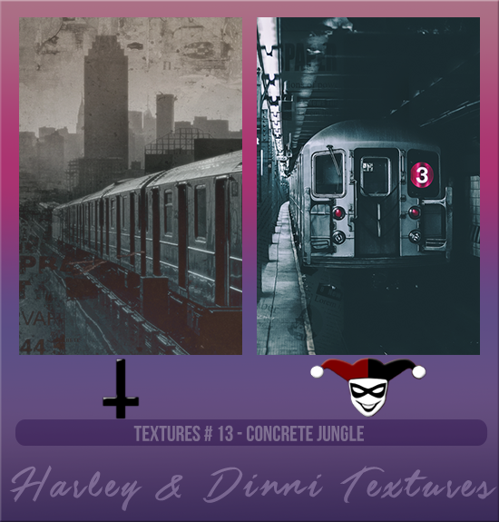 HARLEY & DINNI #013 [CONCRETE JUNGLE]
Available August 2024 (Summer Beach Party 2023)
