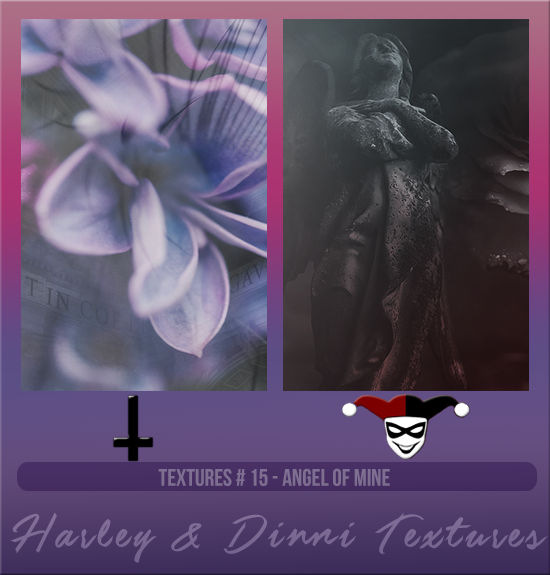 HARLEY & DINNI #015 [ANGEL OF MINE]
Available August 2024 (Summer Beach Party 2023)
