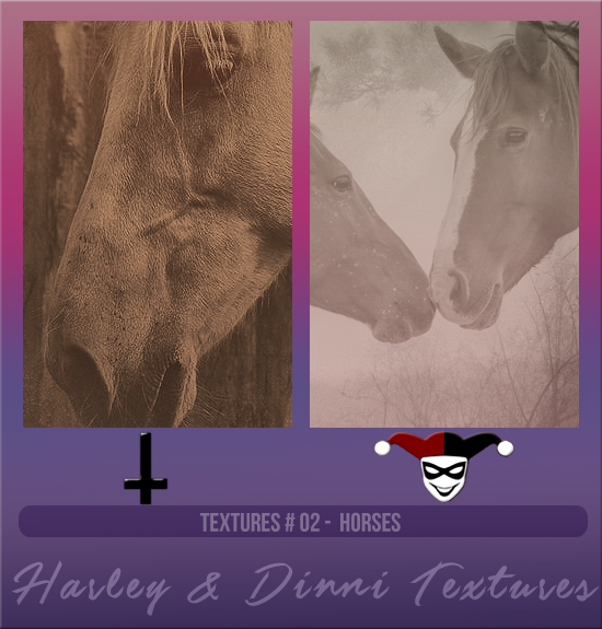 HARLEY & DINNI #002 [HORSES]
