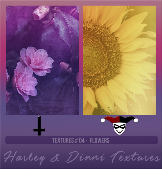 HARLEY & DINNI #004 [FLOWERS]
