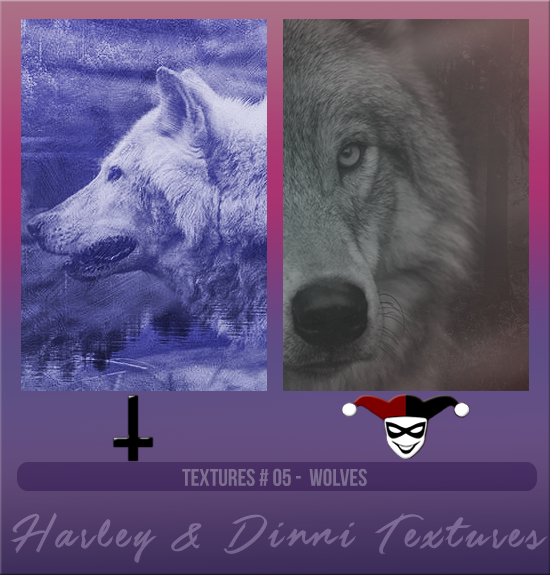 HARLEY & DINNI #005 [WOLVES]
