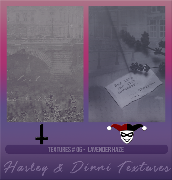 HARLEY & DINNI #006 [LAVENDER HAZE]
Available December 2023 (Countdown to Style 2022)
