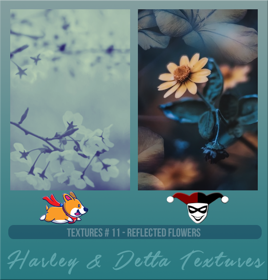 HARLEY & DETTA #011 [REFLECTED FLOWERS]
Available December 2023 (Countdown to Style 2022)
