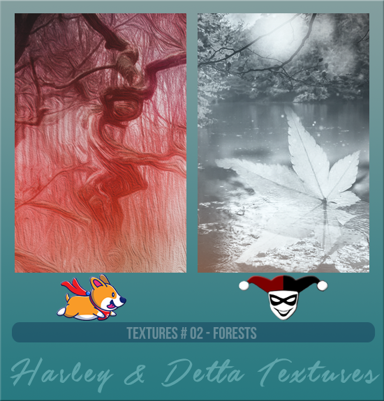 HARLEY & DETTA #002 [FORESTS]
