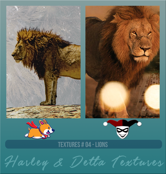 HARLEY & DETTA #004 [LIONS]
