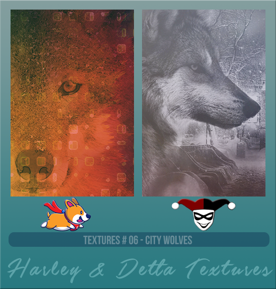 HARLEY & DETTA #006 [CITY WOLVES]
