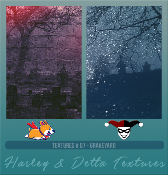  HARLEY & DETTA #007 [GRAVEYARD]
