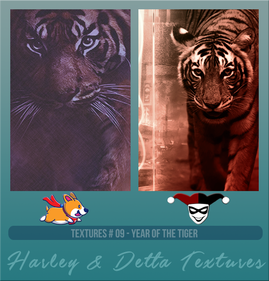 HARLEY & DETTA #009 [YEAR OF THE TIGER]
