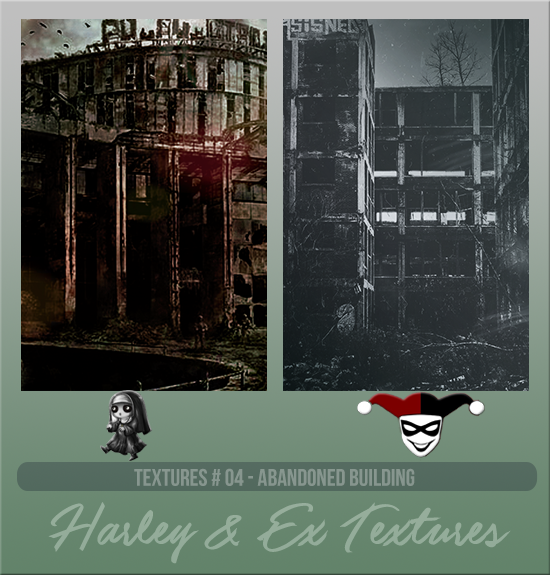 HARLEY & EXPLICIT #004 [ABANDONED BUILDING]
Available August 2024 (Summer Beach Party 2023)
