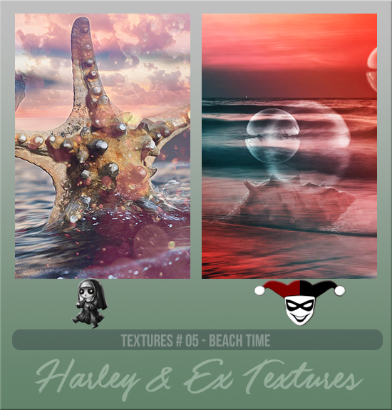 HARLEY & EXPLICIT #005 [BEACH TIME]
Available August 2024 (Summer Beach Party 2023)
