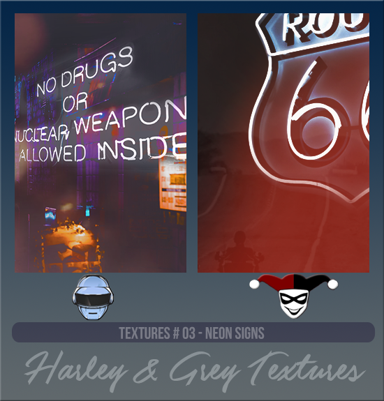 HARLEY & GREY #003 [NEON SIGNS]
