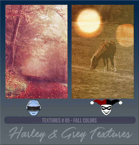 HARLEY & GREY #005 [FALL COLORS]
