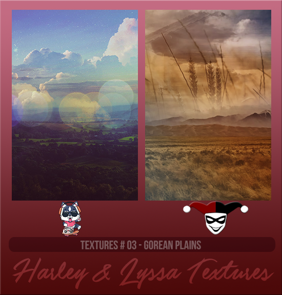 HARLEY & LYSSA #003 [GOREANS PLAINS]
Available August 2024 (Summer Beach Party 2023)
