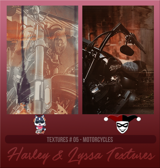 HARLEY & LYSSA #005 [FLORIDA]
Available August 2024 (Summer Beach Party 2023)
