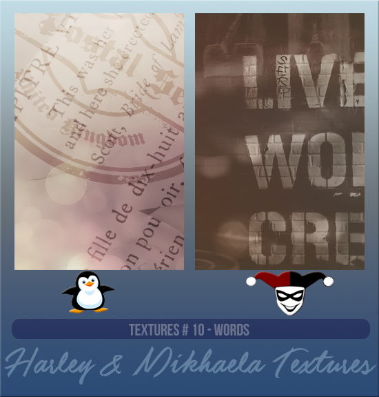 HARLEY & MIKHAELA #010 [WORDS]
Available December 2023 (Countdown to Style 2022)
