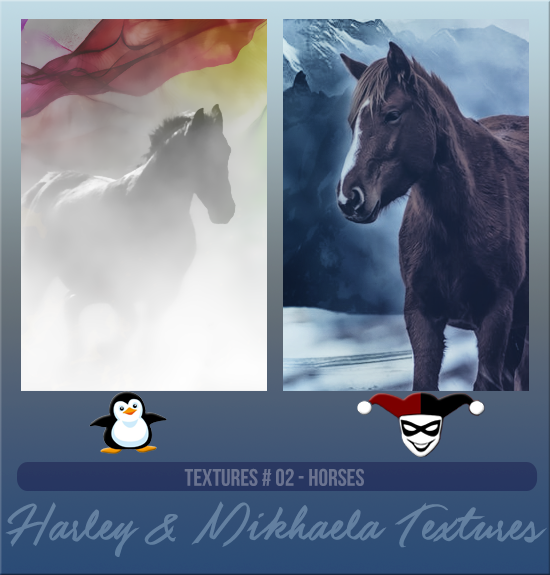 HARLEY & MIKHAELA #002 [HORSES]
