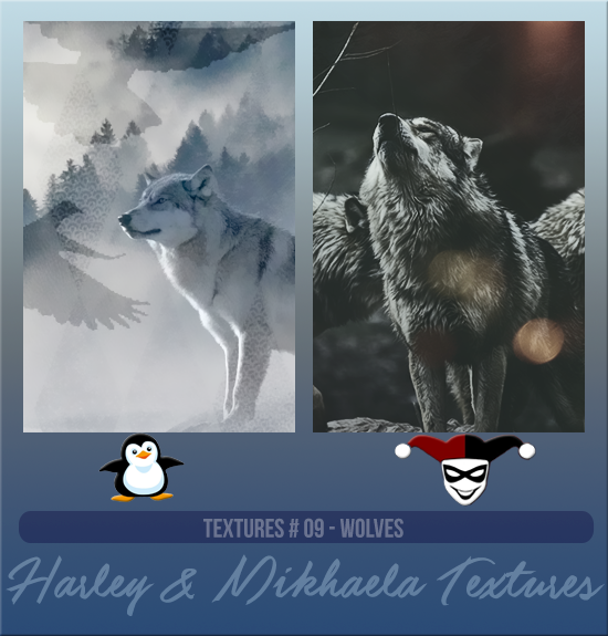 HARLEY & MIKHAELA #009 [WOLVES]
Available December 2023 (Countdown to Style 2022)
