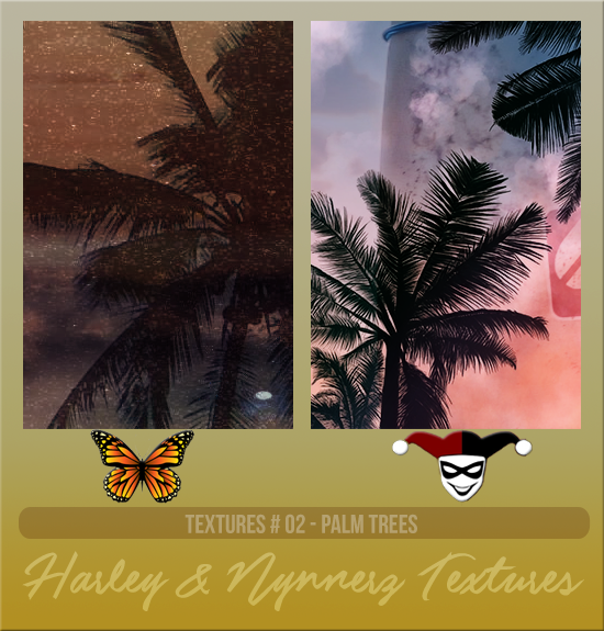 HARLEY & NYNNERZ #002 [PALM TREES]
