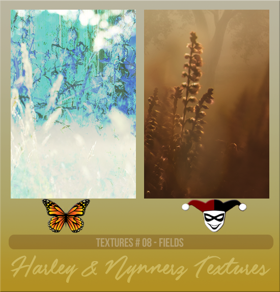 HARLEY & NYNNERZ #008 [FIELDS]
Available December 2023 (Countdown to Style 2022)
